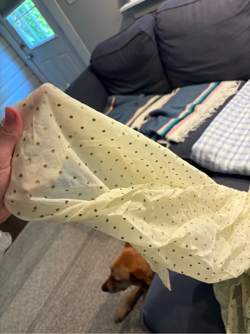 Light Yellow Dot Chiffon fabric - Picture 2 of 3